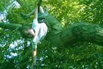 Boy in Tree